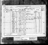 1881 census J D Potts D Reay